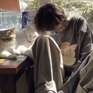 晚风