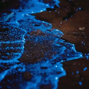 陪你看星星（翻自 陈子晴）