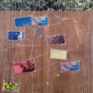 Long Haul To Dub Cvae