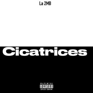 Cicatrices