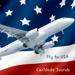 Fly to Usa