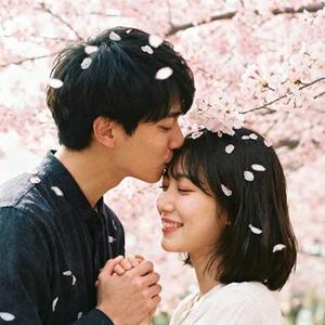 今生我们没爱够
