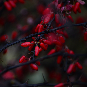 Lay Back (Sea Sound)