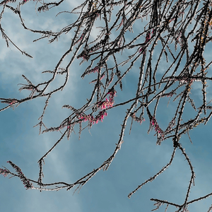 Widening