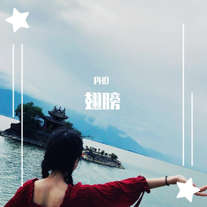 翅膀