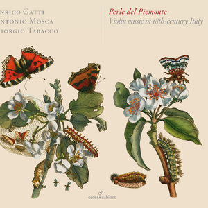 Cello Sonata No. 3 in F Major: I. Allegretto