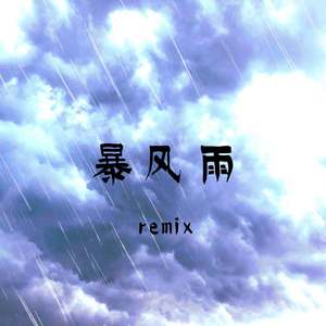 暴风雨remix