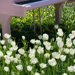 那回忆 如同风铃