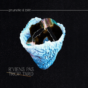 R'viens pas trop tard