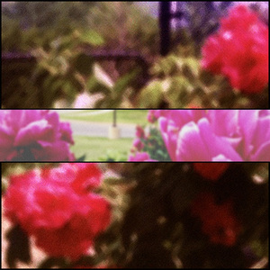 The Song That Played While We Made Love For the First Time