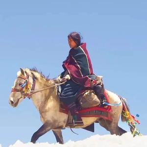 香巴拉-致爱情一条无垢哈达