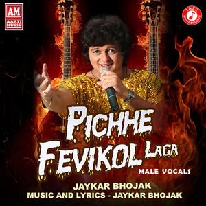 Pichhe Fevikol Laga (Male Vocals)
