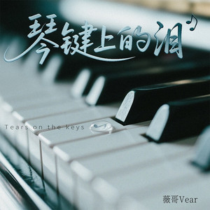 琴键上的泪 (DJ豪大大版)