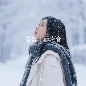 雪落下的声音 (Cover 刘宇宁)