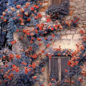 安和桥（翻唱）