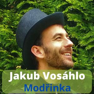 Modřinka