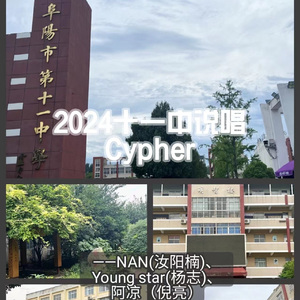 2024安徽省阜阳市第十一中学Cypher