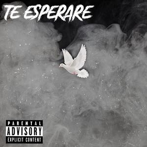 TE ESPERARE