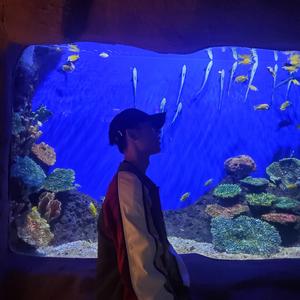 反省与思考Prod by.Yni