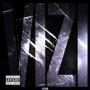 Vizi