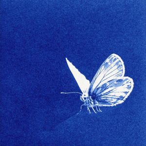 【免费伴奏】 Melodic Rap/R&B PopRap Trap