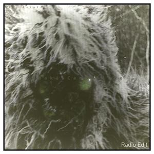 Kakhi Camouflage (Radio Edit)