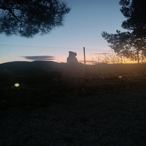 NightDream (Radio Edit)