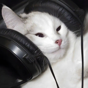 YU 淋濕我（Unicorn D）