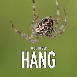Hang (feat. Gull Hover)