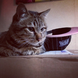 也罢（翻自 鲁向卉）