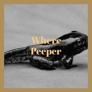 Where Peeper