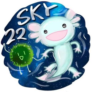朝生年华