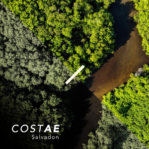 Vendedores Ambulantes