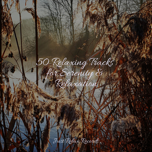 Dusk's Lingering Lullaby