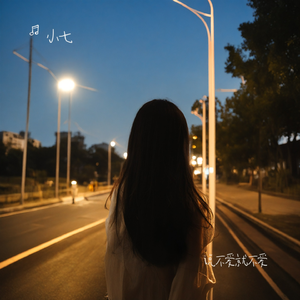 不爱就不爱remix