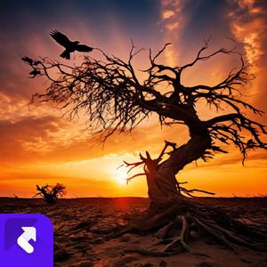 让回忆永存 (现场)