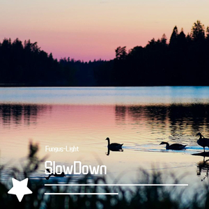 SlowDown