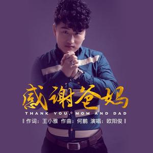 感谢爸妈 (DJ何鹏版)
