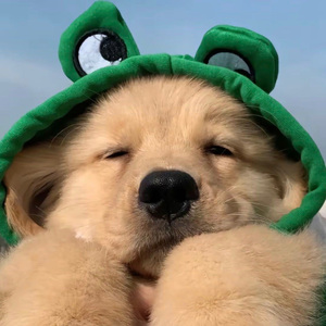 惯犯