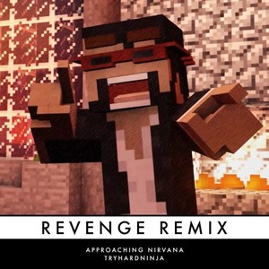 Revenge (Remix)