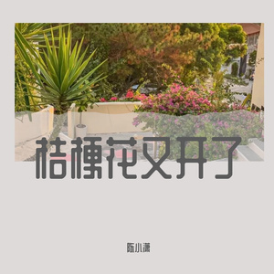 执素兮-桔梗花又开了V2（陈小潇 remix）