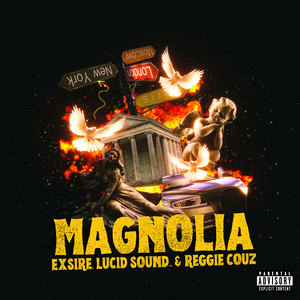 MAGNOLIA (SLOWED AND REVERB)