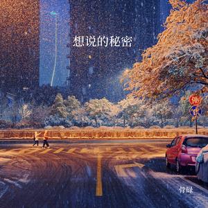 想说的秘密