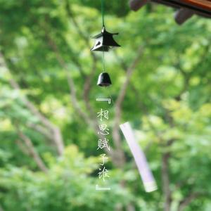 相思赋予谁（Cover 好妹妹乐队）