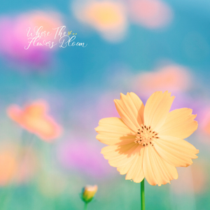 그냥 누워 있기