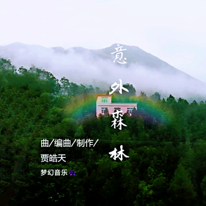 意外森林(纯音乐)