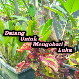 Datang Untuk Mengobati Luka