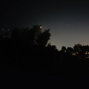 蝴蝶飞不顾沧海