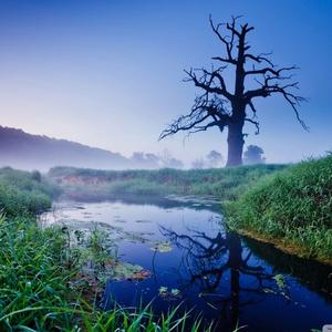 格式转换-0590c452-378f-4b15-8fb2-802d20a90436