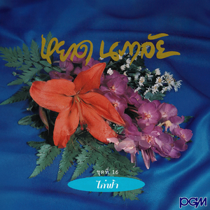 นกขมิ้น